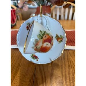 Schumann Arzberg Bavaria Fruit Motif Tea Cup and Saucer Set Gold Gilt Trim